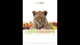Famous PurrrFect For You      Pur Java Net Worth