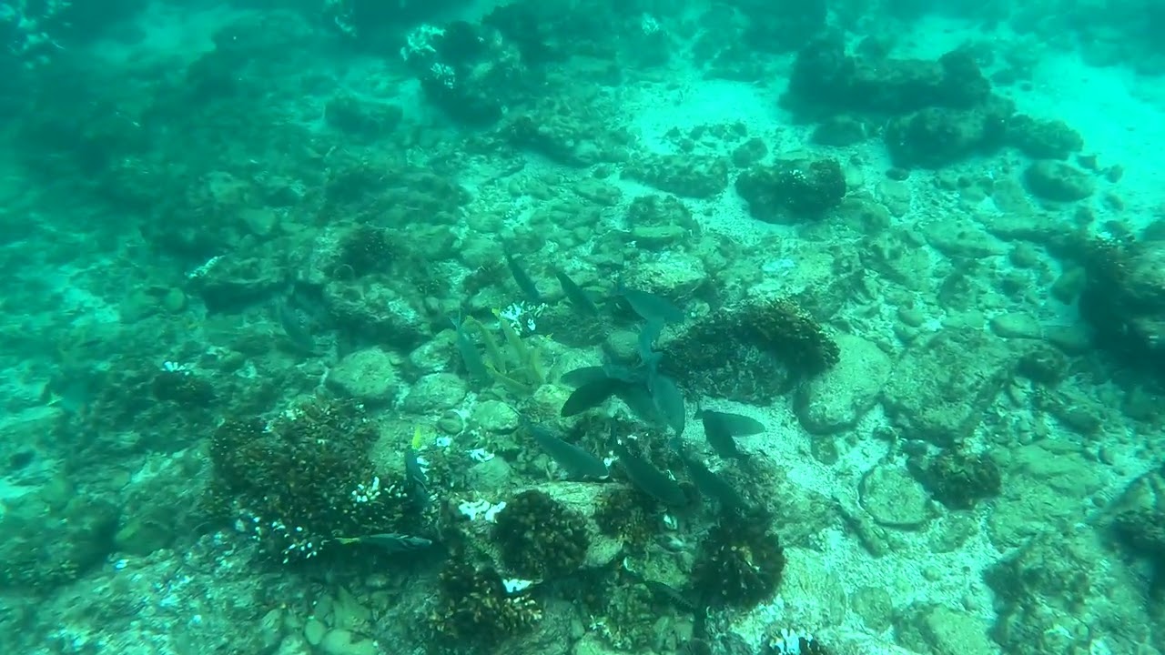 GX012649 Los Cabos, Chileno Beach, GoPro 11, 20231126, 123004