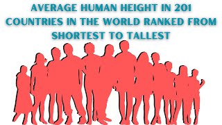 Average Human Height In 201 Countries In The World Ranked From  Shortest To Tallest