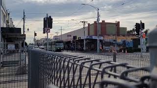 B2 Class tram (2046) departing Glenhuntly Station
