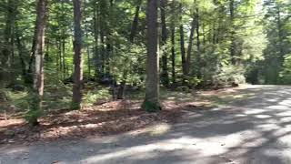 Video of Fort Dummer State Park, VT from Toshi