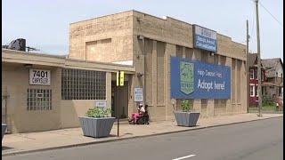 Concerning animal shelter conditions