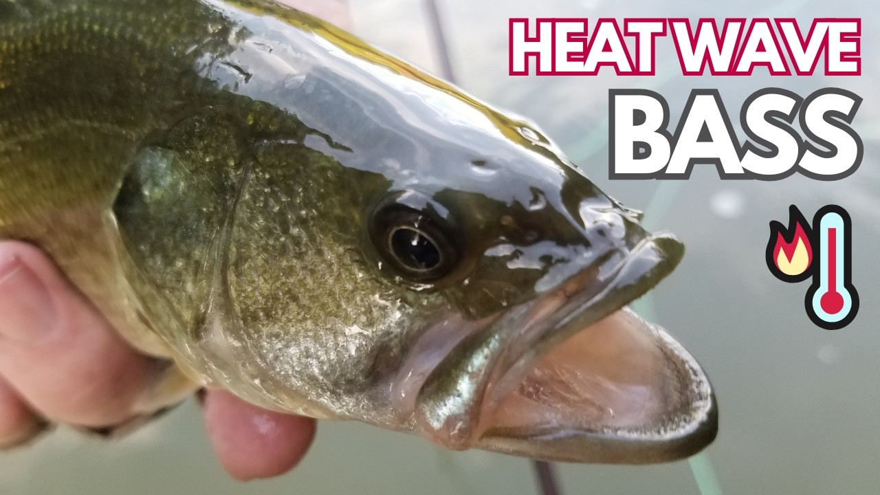 Heat Wave Bass Fishing - LA River in 100+ Degrees! (+15" Catfish)