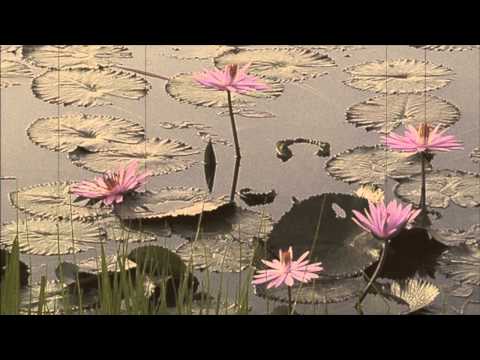 AYUN AMBING | KACAPI SULING | SUNGKEMAN KACAPI SULING