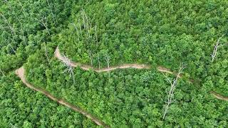 Explore 1.5 Miles Of Hiking Trails At The Gatlinburg Skypark