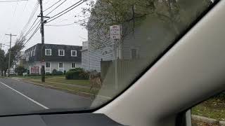 Runaway 🦌 Deer in Pt Pleasant, NJ  #runawaydeer #buck #rt35 #ptpleasant #newjersey #jerseyshore #NJ