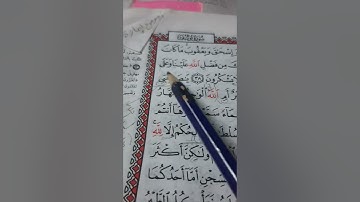 أسئلة إجازة لرواية حفص من سورة يوسف صفحة ٢٤٠