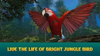 🐦Wild Parrot Sim 3D: Jungle Bird Fly Game-Симулятор Диких Попугаев-Virtual Animals World-Android 🐦Wild Parrot Sim 3D: Jungle Bird Fly Game-Симулятор Диких Попугаев-Virtual Animals World-Android