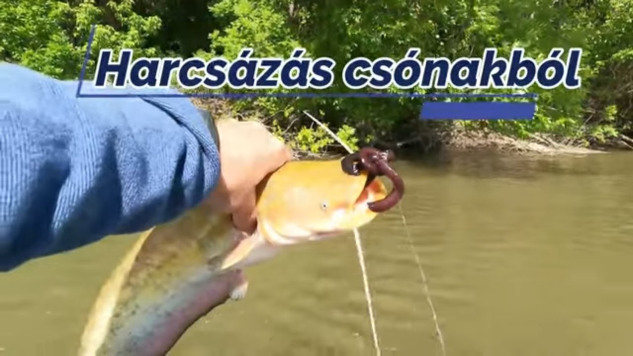 Harcsázás folyóvízen-2.rész-Végszerelék, radar, egyebek