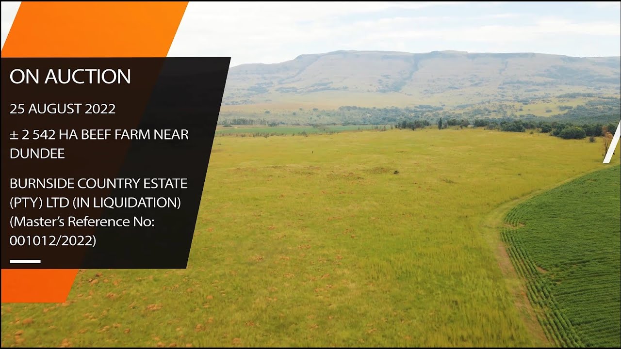 IN LIQUIDATION: Large Beef Farm near Dundee Glencoe - On Auction 25 August 2022.