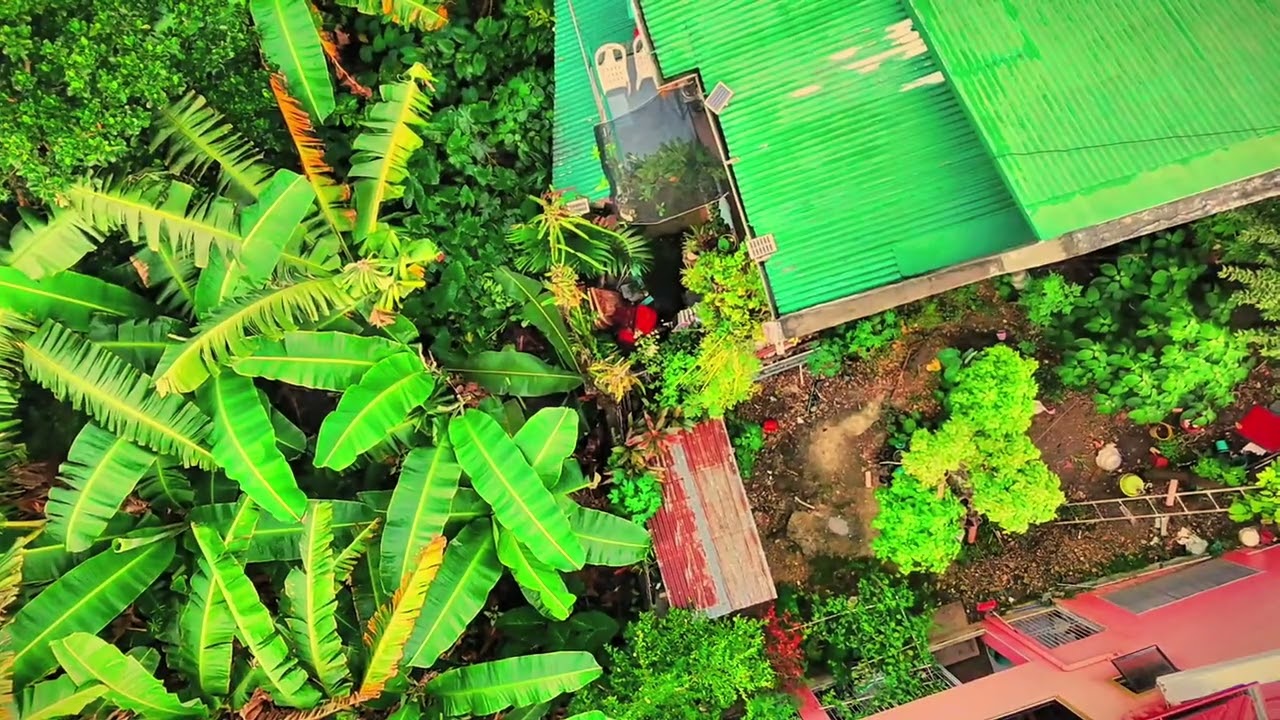 ЭЛЬ-МУНДО (МИР) Таламбан Себу