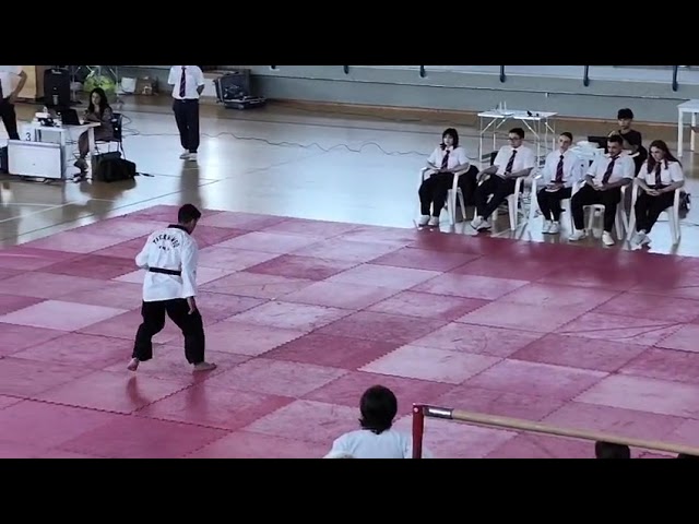 Vincenzo S freestyle