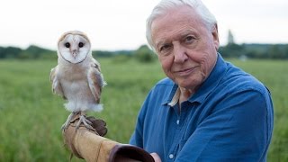David Attenborough's Conquest of the Skies 3D - Series Intro
