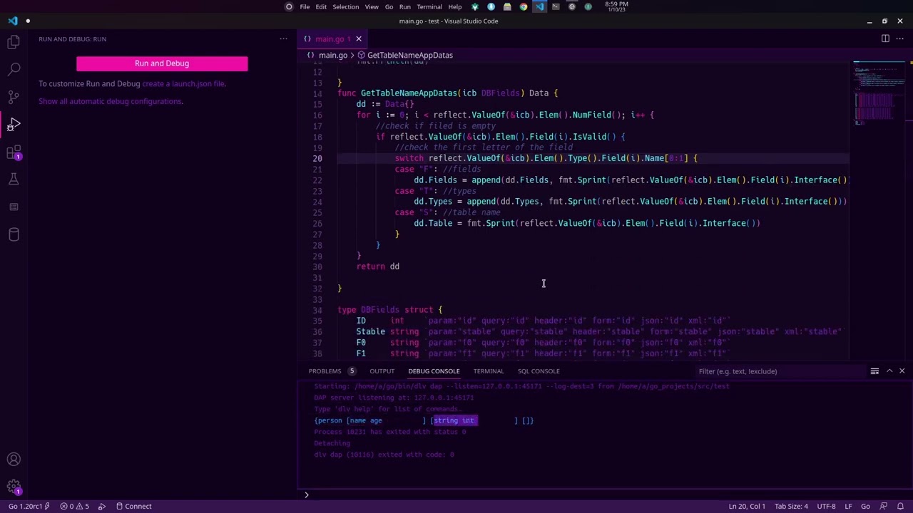 How to use the golang reflect package