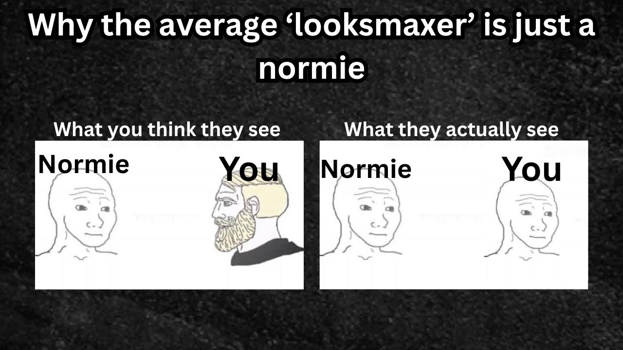 Why the average ‘looksmaxer’ is just a normie