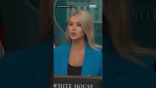 Leavitt calls question stupid after reporter asks about planned protests at Trump's military parade