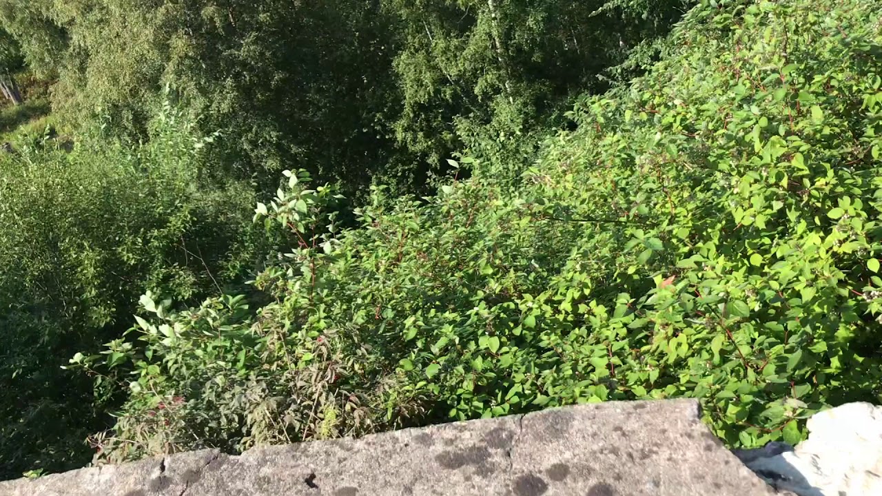 Toila park. View. Toila. Estonia 2018