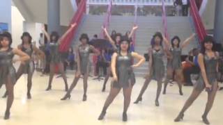 Colonial CAPA DANCE -Solid gold (Thinkshow)