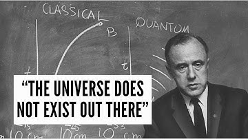 We Create Reality by Looking - John Wheeler and the Participatory Universe