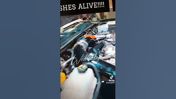 2005 LLY DURAMAX Rebuilt! #duramax #hsp #diese