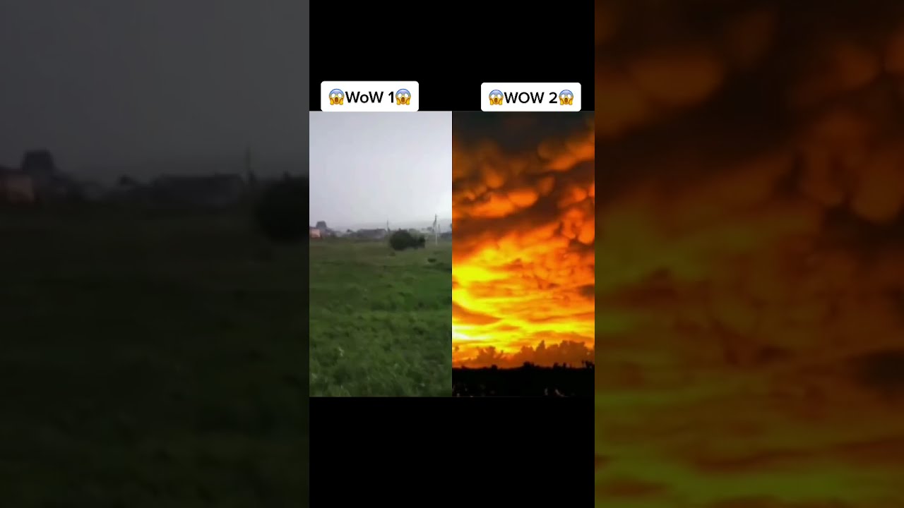 WoW 1😱 or WoW 2 😱