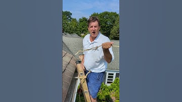 Gutter Cleaning Tip Clears Clogged Downspouts #gutterclean #homemaintenance #homerepair