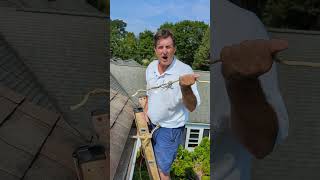 Gutter Cleaning Tip Clears Clogged Downspouts #gutterclean #homemaintenance #homerepair