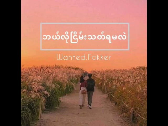 Wanted fokker - ဘယ်လိုငြိမ်းသတ်ရမလဲ - bl lo nyein thet ya m ll class=