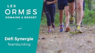 LES ORMES - DEFI SYNERGIE