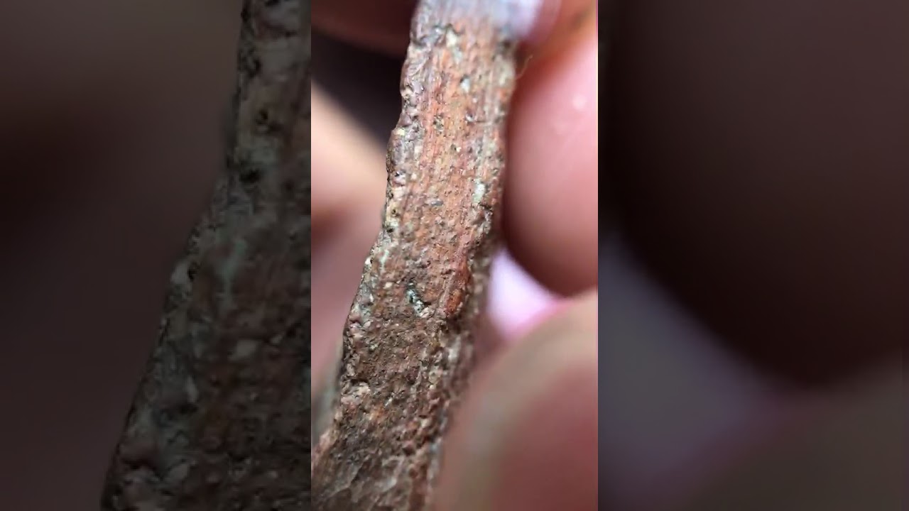 วิธี สังเกต จุดจ่ายเงิน ใน พระกรุวัดบ้านกร่าง