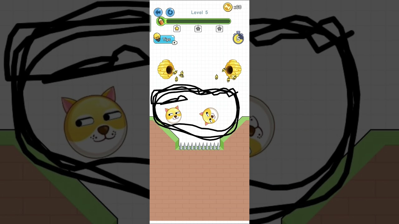 save the dog | level 5 | 