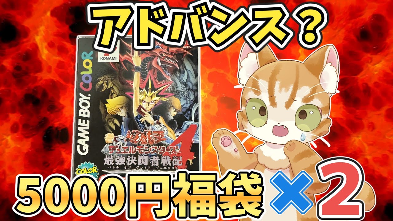 【駿河屋福袋】ゲームボーイ福袋とアドバンス福袋を一緒に購入したら梱包が酷かった【駿河屋柏青葉台店】