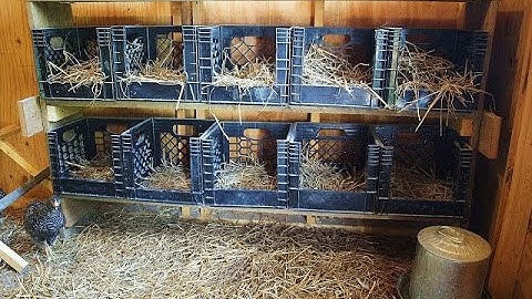 FREE Nesting Boxes