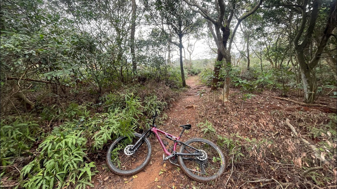 飛龍池步道下118縣道 2026.2.25