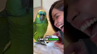 This Parrot Talks… And Humans Instantly Lose It 🤣🦜
