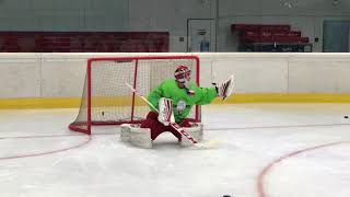 Francois Allaire Goalie Camp