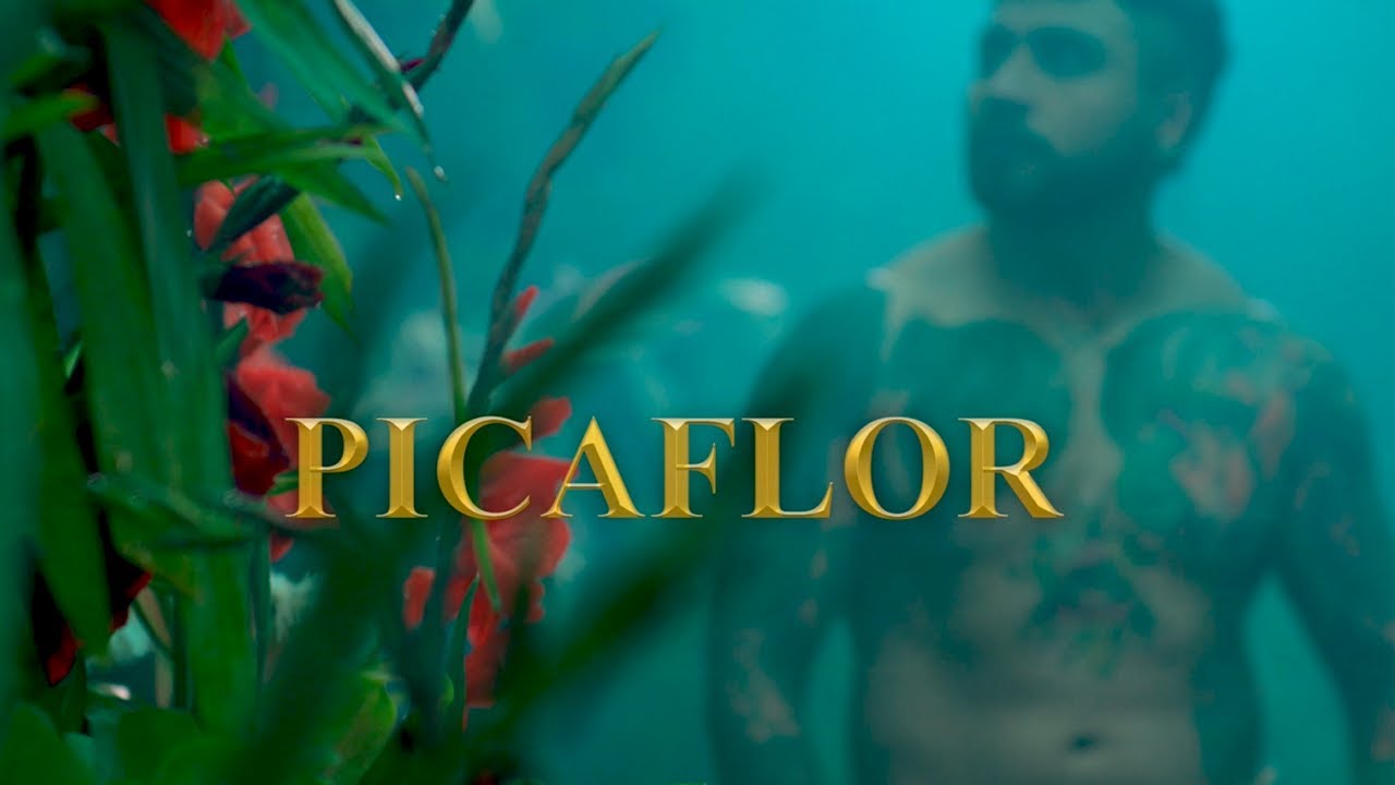 Watch El Picaflor - Chila Jatun Ft Edwin Castellanos on YouTube Watch El Picaflor - Chila Jatun Ft Edwin Castellanos on YouTube