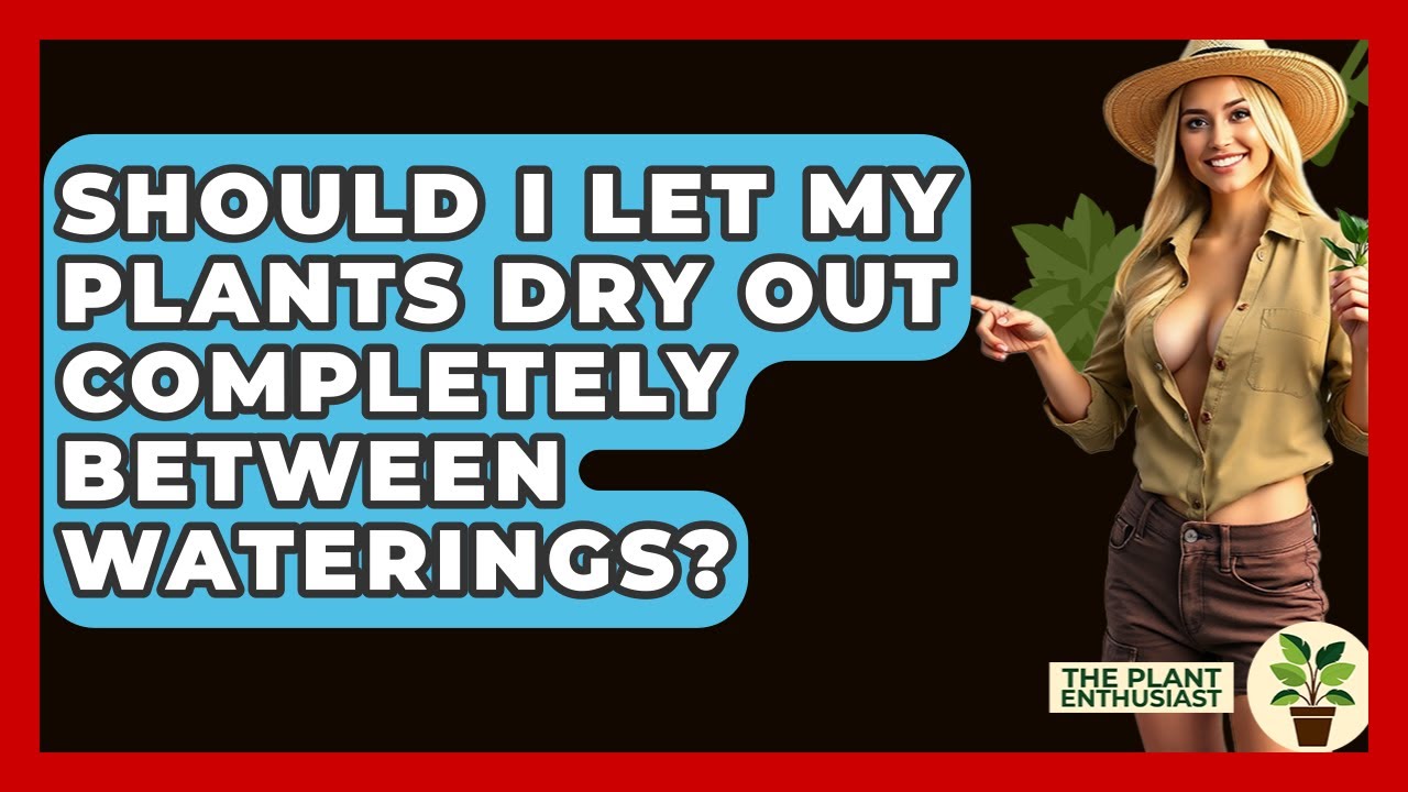 Should I Let My Plants Dry Out Completely Between Waterings? - The Plant Enthusiast