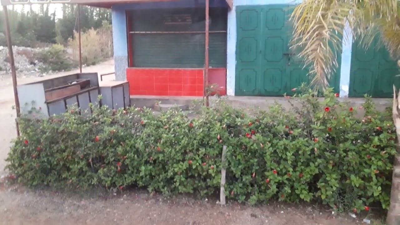 جولة رائعة ماشاء الله في طريق الغرب سوق الثلاثاء ❤❤❤