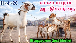 11 - 4 - 2026 | எட்டையபுரம் ஆட்டுச்சந்தை | Ettayapuram Goat Market | kalnadaitholan | Goat Market