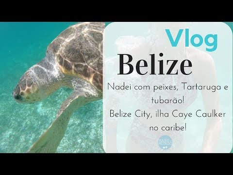 Vídeo: 20 Razões Para Viajar Para Belize NOW - Matador Network