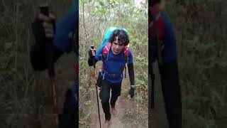 Download Lagu Pendakian puncak gunung wilis MP3