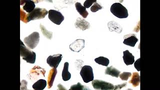 Zircon - heavy mineral strewn slide