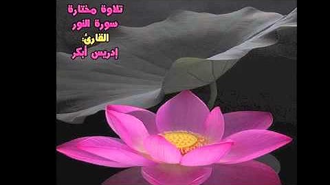 تلاوة مختارة ( سورة النور ) القارئ / إدريس أبكر