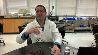 B  Electrolytes