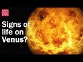 Have we discovered signs of life on Venus?