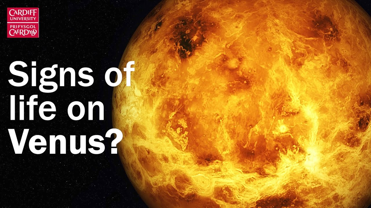Have we discovered signs of life on Venus? YouTube