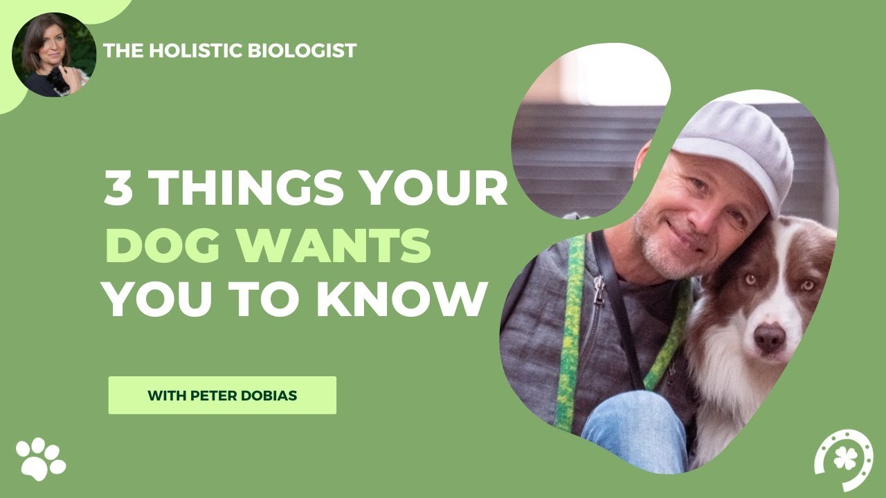 What Every Dog Owner Needs To Know Expert Tips From Dr. Dobias YouTube