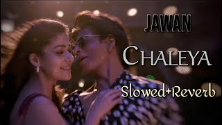 JAWAN: Chaleya | Slowed+Reverb | Arijit Singh, Shilpa R | Anirudh R | Shah Rukh Khan, Nayanthara.