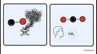 Chapter 5 Molecules and Compounds